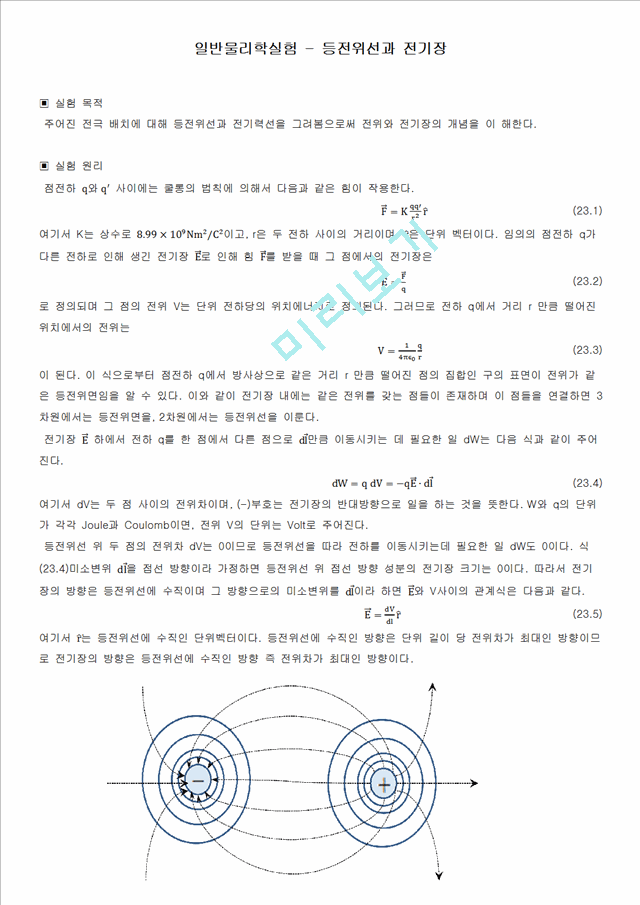 [자연과학] 일반물리학실험 - 등전위선과 전기장.docx